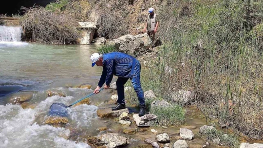 Elazığ'da Hazar İnci ve Siraz Balığı izleme çalışması yapıldı