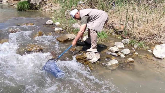 Elazığ'da Hazar İnci ve Siraz Balığı izleme çalışması yapıldı