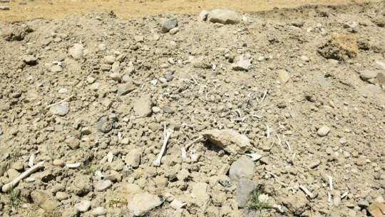 Elazığ'da içme suyu yolu mezarlık içinden geçince, kemikler etrafa saçıldı
