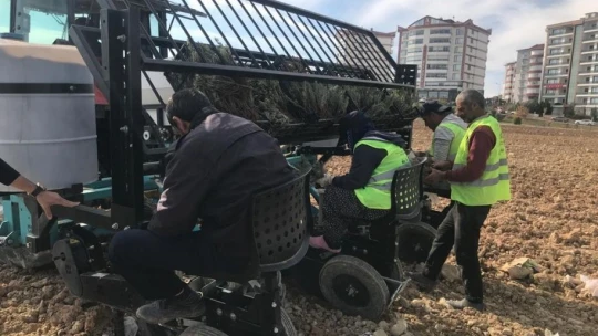 Elazığ'da İpek Yolu Gençlik Merkezi gönüllülerinden lavanta parkı