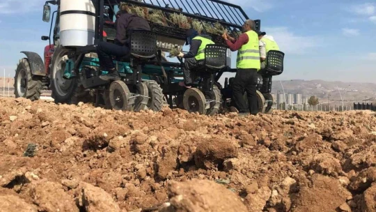 Elazığ'da İpek Yolu Gençlik Merkezi gönüllülerinden lavanta parkı