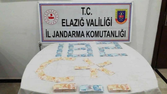 Elazığ'da jandarma ekipleri bir yılda 611 operasyon düzenledi: 670 şüpheli yakalandı