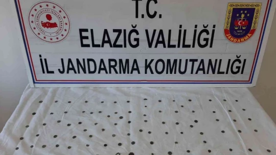 Elazığ'da jandarma ekipleri bir yılda 611 operasyon düzenledi: 670 şüpheli yakalandı