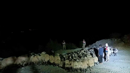 Elazığ'da jandarma kaybolan hayvanları dron ile buldu