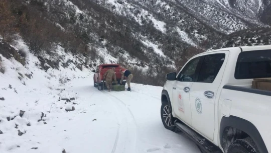 Elazığ'da jandarma, yaban hayatı için doğaya yem bıraktı