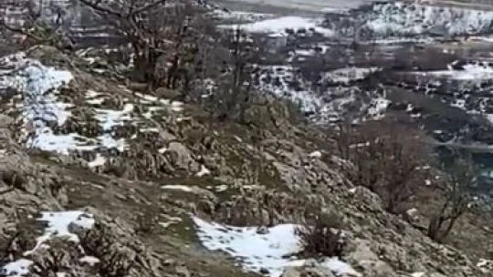 Elazığ'da jandarma, yaban hayatı için doğaya yem bıraktı