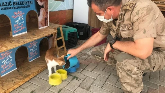 Elazığ'da jandarmadan 4 Ekim Dünya Hayvanları Koruma Günü etkinliği