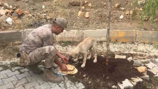 Elazığ'da jandarmadan 4 Ekim Dünya Hayvanları Koruma Günü etkinliği