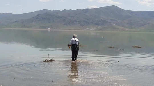 Elazığ'da kaçak avcılara operasyon