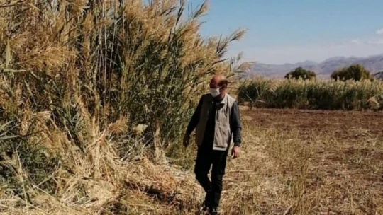 Elazığ'da kaçak avcılığın önlenmesi için denetimler sürüyor