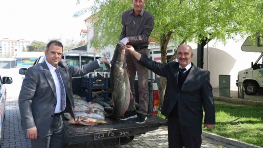 Elazığ'da kaçak avlanan 2,5 ton balık ele geçirildi