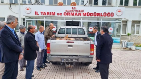 Elazığ'da kaçak avlanan 500 kilogram balık yakalandı