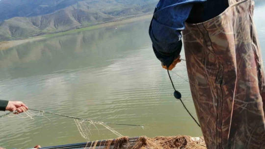 Elazığ'da kaçak avlandığı tespit edilen 100 kilo canlı balık ele geçirildi