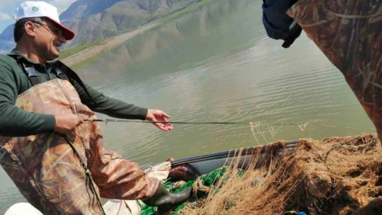 Elazığ'da kaçak avlandığı tespit edilen 100 kilo canlı balık ele geçirildi