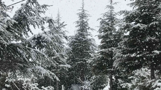Elazığ'da kar yeniden başladı
