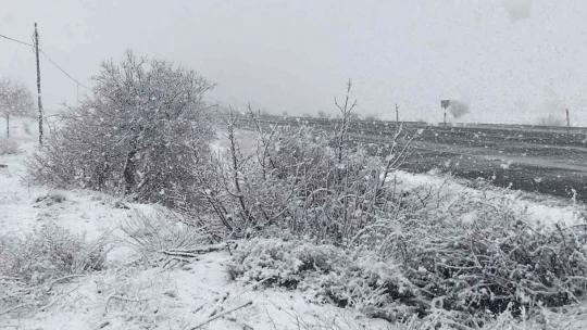 Elazığ'da kar yeniden başladı