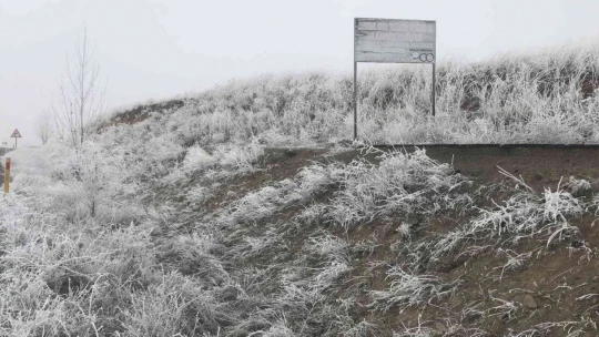 Elazığ'da kırağı ağaçları beyaza bürüdü