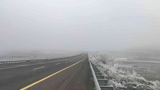 Elazığ'da kırağı ağaçları beyaza bürüdü