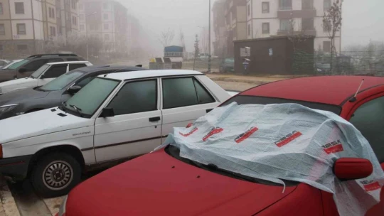 Elazığ'da kırağı ve don etkili oldu