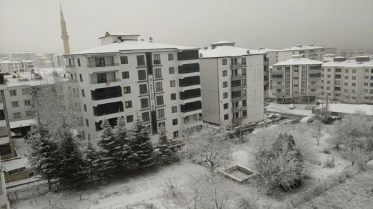 Elazığ'da kırağı ve don etkili oldu