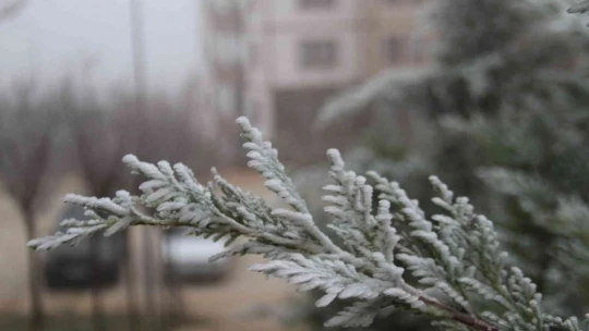 Elazığ'da kırağı ve don etkili oldu
