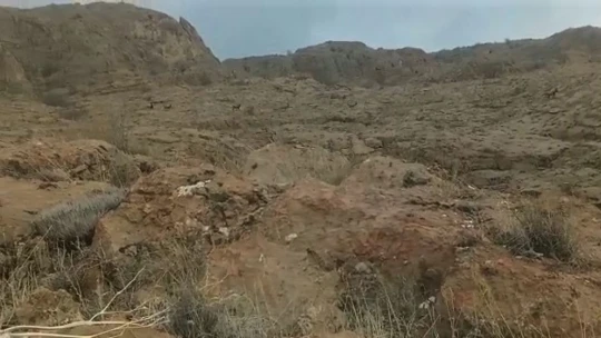 Elazığ'da koruma altındaki dağ keçileri sürü halinde görüntülendi