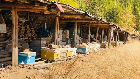 Elazığ'da kovanlar kontrol edildi