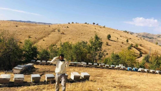 Elazığ'da kovanlar kontrol edildi
