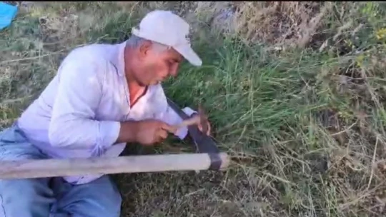 Elazığ'da köylülerin ot biçme mesaisi başladı