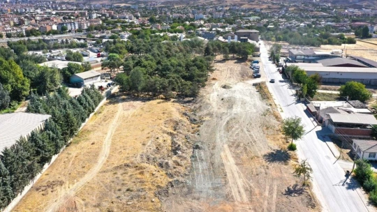 Elazığ'da kullanılamaz durumdaki çamlık alan, yaşam alanına dönüştürülüyor