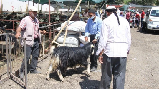 Elazığ'da kurbanlık satışları devam ediyor
