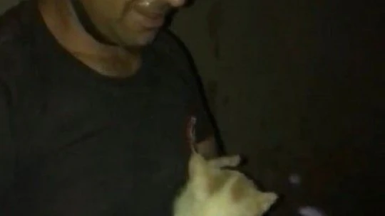 Kuyuya Düşen Kedinin İmdadına İtfaye Yetişti