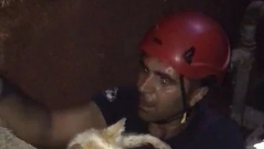 Kuyuya Düşen Kedinin İmdadına İtfaye Yetişti