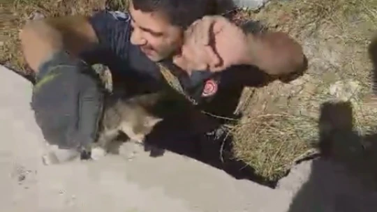 Elazığ'da kuyuya düşen yavru kediyi itfaiye ekipleri kurtardı