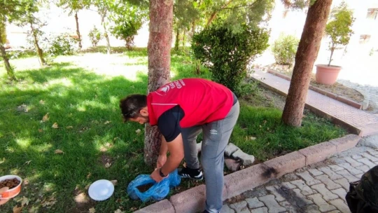 Elazığ'da Mavi ve Kırmızı Yelekliler sahada