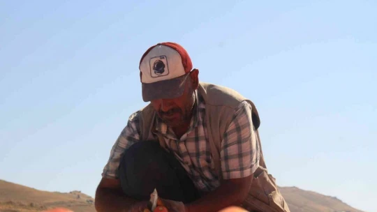 Elazığ'da mevsimlik işçilerin mesaisi devam ediyor