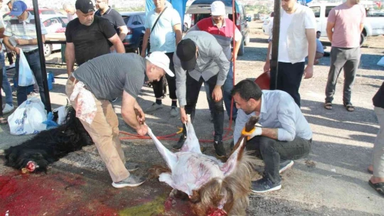 Elazığ'da namazdan çıkan vatandaşlar kurbanlarını kesti