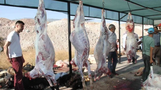 Elazığ'da namazdan çıkan vatandaşlar kurbanlarını kesti