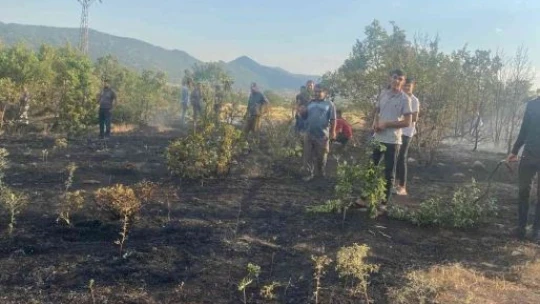 Elazığ'da ormanlık alanda çıkan yangın büyümeden söndürüldü