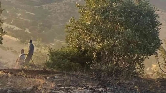 Elazığ'da ormanlık alanda çıkan yangın büyümeden söndürüldü