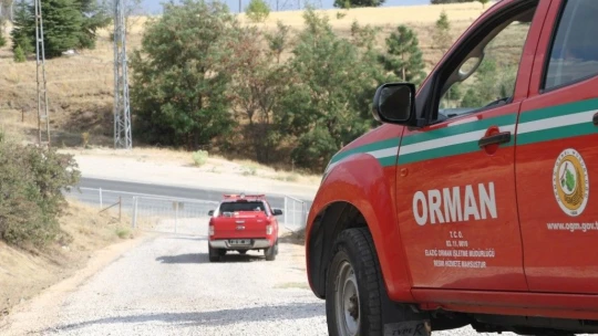 Elazığ'da, ormanlık alanlarda sıkı denetim