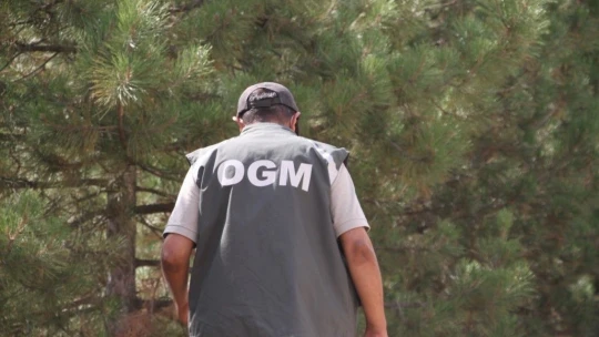 Elazığ'da, ormanlık alanlarda sıkı denetim