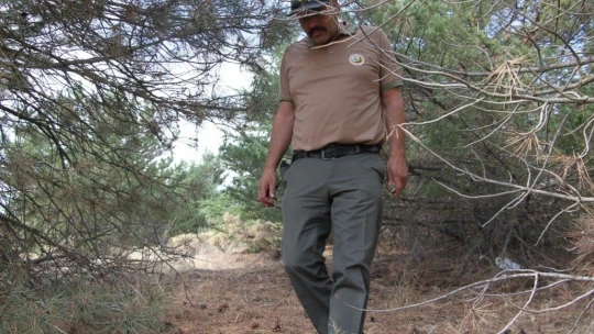 Elazığ'da, ormanlık alanlarda sıkı denetim
