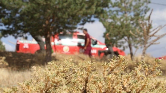 Elazığ'da, ormanlık alanlarda sıkı denetim