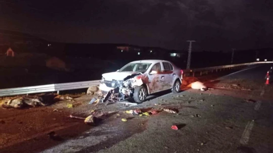 Elazığ'da otomobil koyun sürüsüne daldı: 2 yaralı