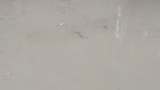 Elazığ'da sağanak, binalar su altında kaldı