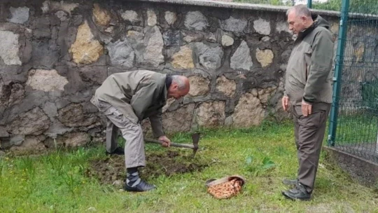 Elazığ'da salep soğanı toplayan 2 kişiye 220 bin lira para cezası