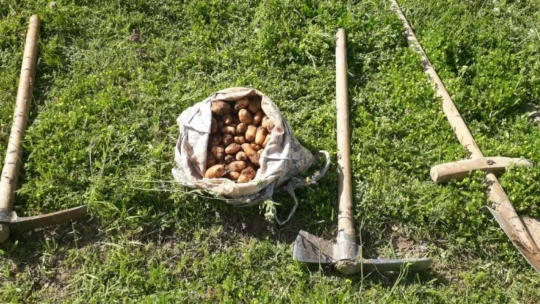 Elazığ'da salep soğanı toplayan 13 kişiye 1 milyon 518 bin lira ceza