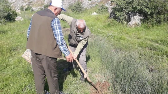 Elazığ'da salep soğanı toplayan 13 kişiye 1 milyon 518 bin lira ceza