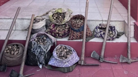 Elazığ'da salep soğanı toplayan 13 kişiye 1 milyon 518 bin lira ceza